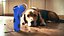 Pet Treat Launcher Blue with Food