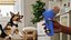 Pet Treat Launcher Blue with Food