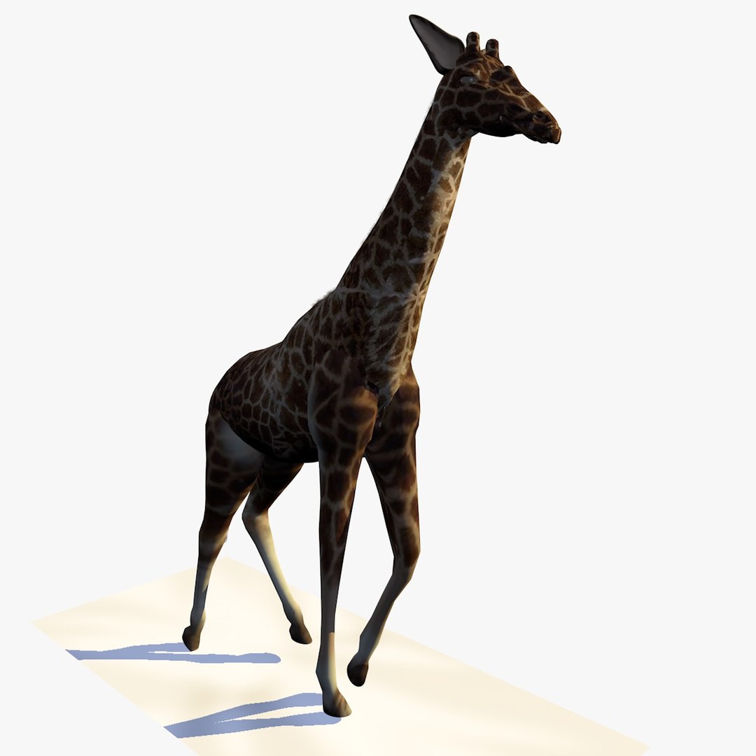 3d Giraffe Walking Animation