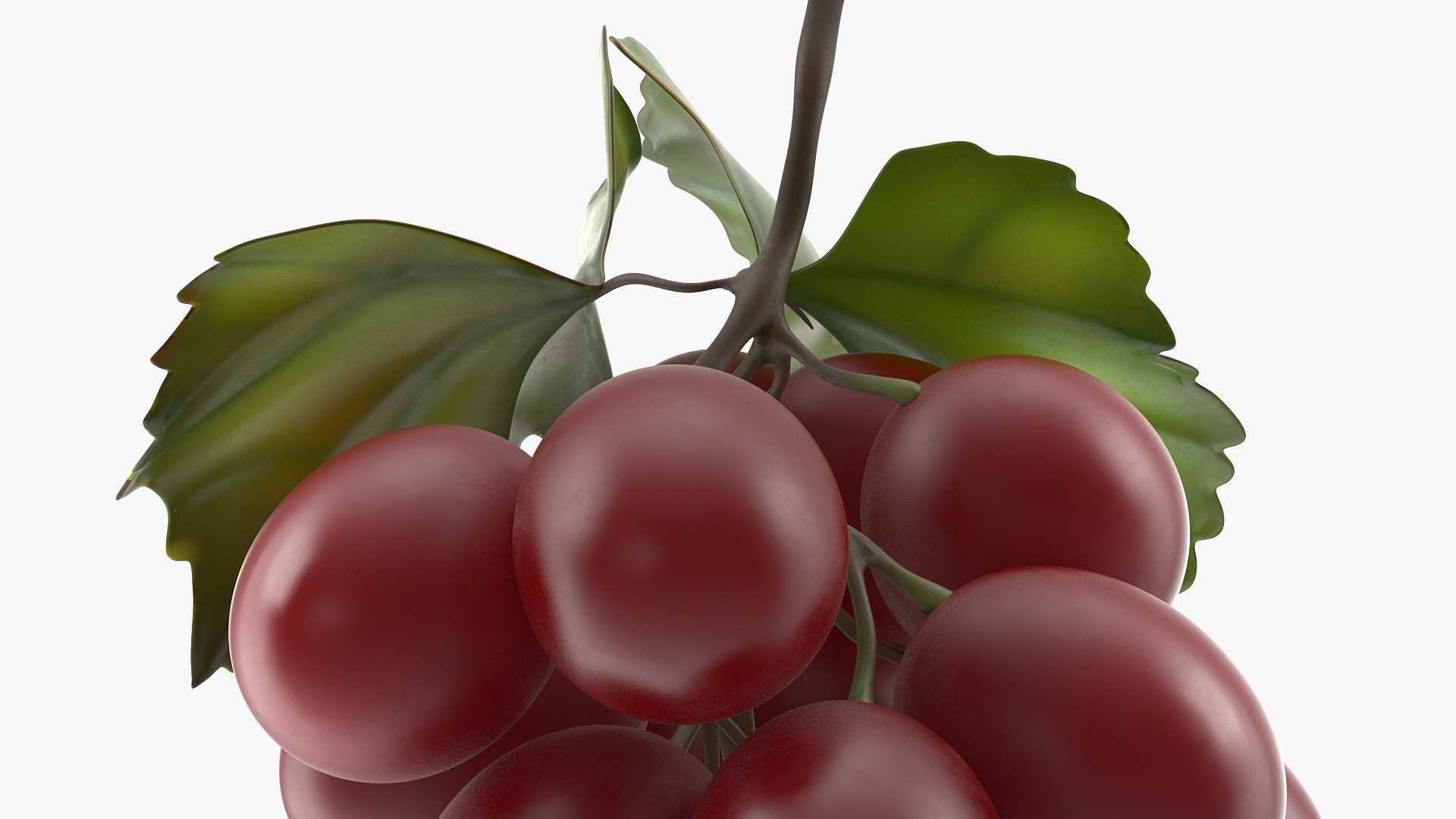 Grapes Collection 3 3D model https://p.turbosquid.com/ts-thumb/Vu/NjOfUn/7Y/grapescollection3mb3dmodel018/jpg/1647461487/1920x1080/fit_q87/94cc2d61be1d87c060423a697c82fff8df61c5bc/grapescollection3mb3dmodel018.jpg