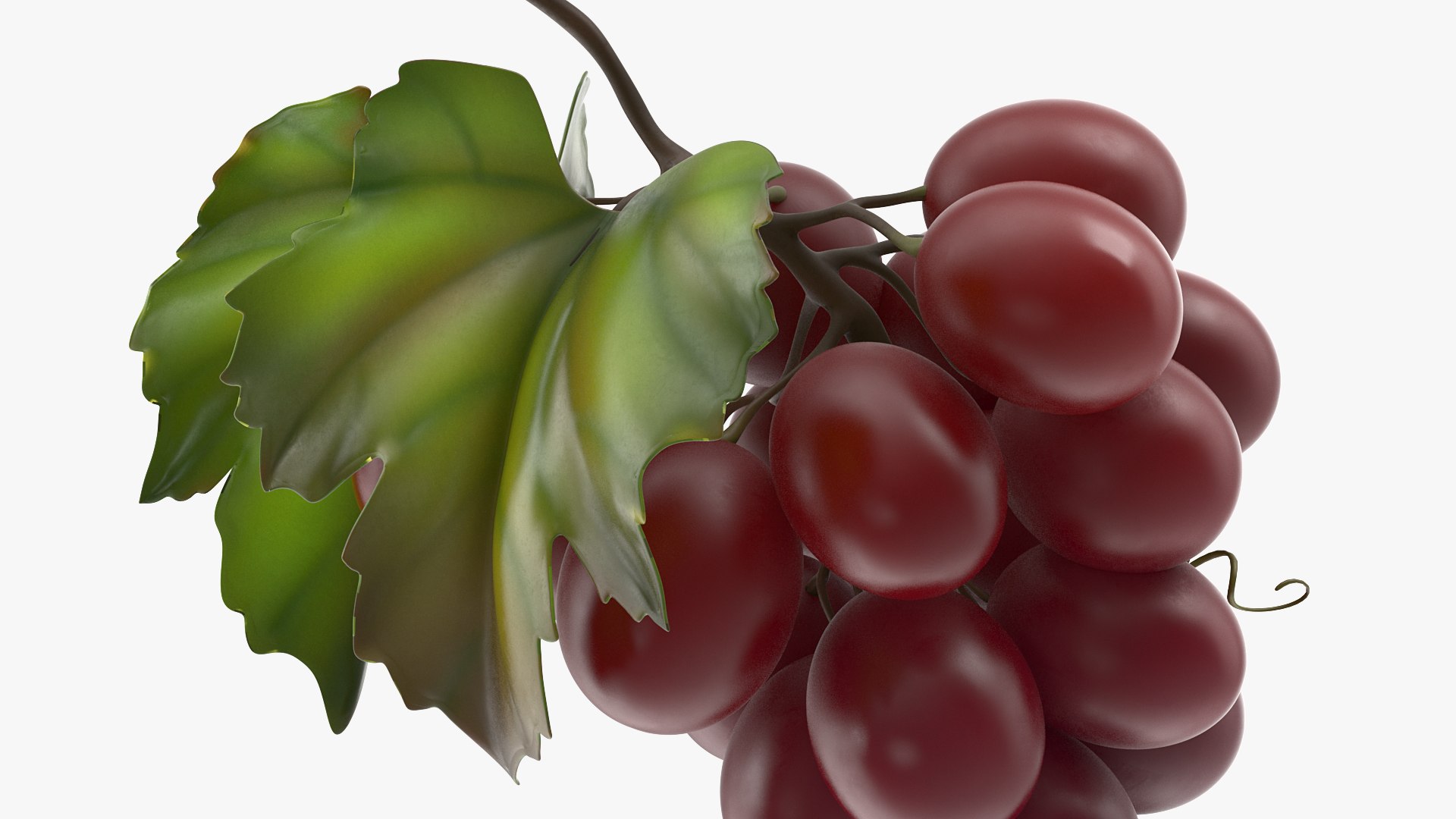 Grapes Collection 3 3D model https://p.turbosquid.com/ts-thumb/Vu/NjOfUn/9o/grapescollection3mb3dmodel020/jpg/1647461493/1920x1080/fit_q87/602c9ade109dd08a922ac9c6ade6a8c15118df04/grapescollection3mb3dmodel020.jpg