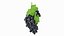 Grapes Collection 3