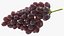 Grapes Collection 3