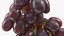 Grapes Collection 3