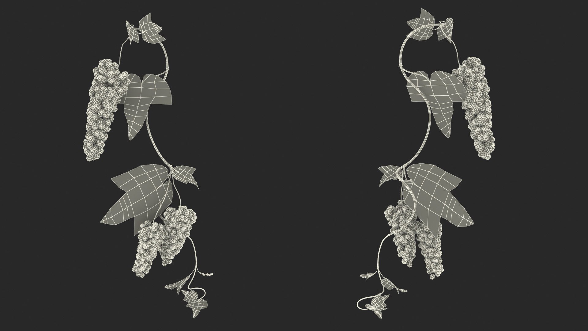 Grapes Collection 3 3D model https://p.turbosquid.com/ts-thumb/Vu/NjOfUn/LC/grapescollection3mb3dmodel050/jpg/1647461580/1920x1080/fit_q87/b7d20580e6ca34a18e6746e68410dc59f014480d/grapescollection3mb3dmodel050.jpg