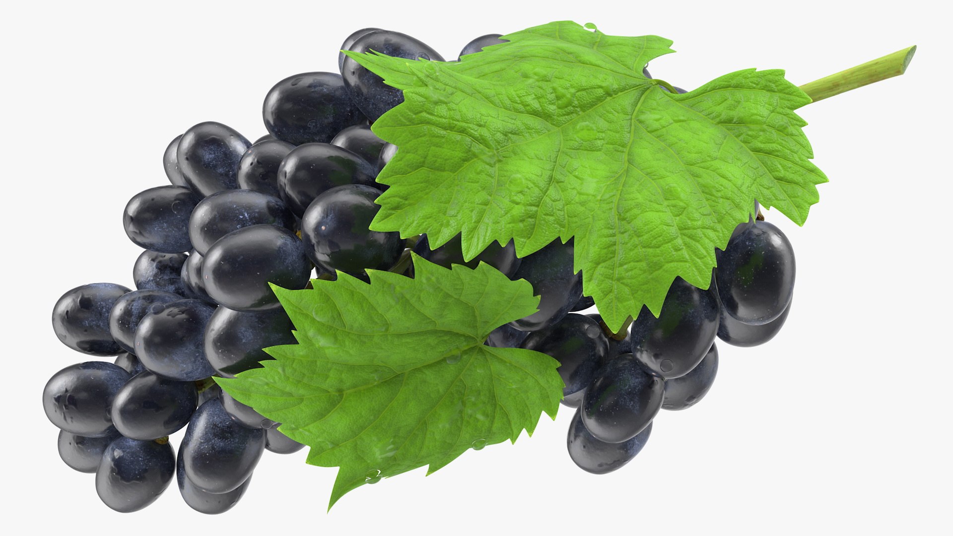 Grapes Collection 3 3D model https://p.turbosquid.com/ts-thumb/Vu/NjOfUn/Nf/grapescollection3mb3dmodel035/jpg/1647461536/1920x1080/fit_q87/78175d7fcfea65da1c8ec59fd7c6e7ae2fe1c92c/grapescollection3mb3dmodel035.jpg