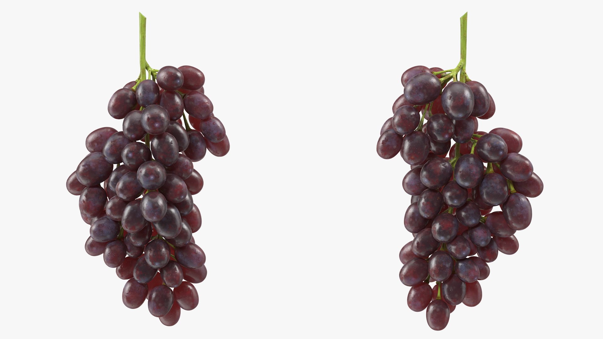 Grapes Collection 3 3D model preview