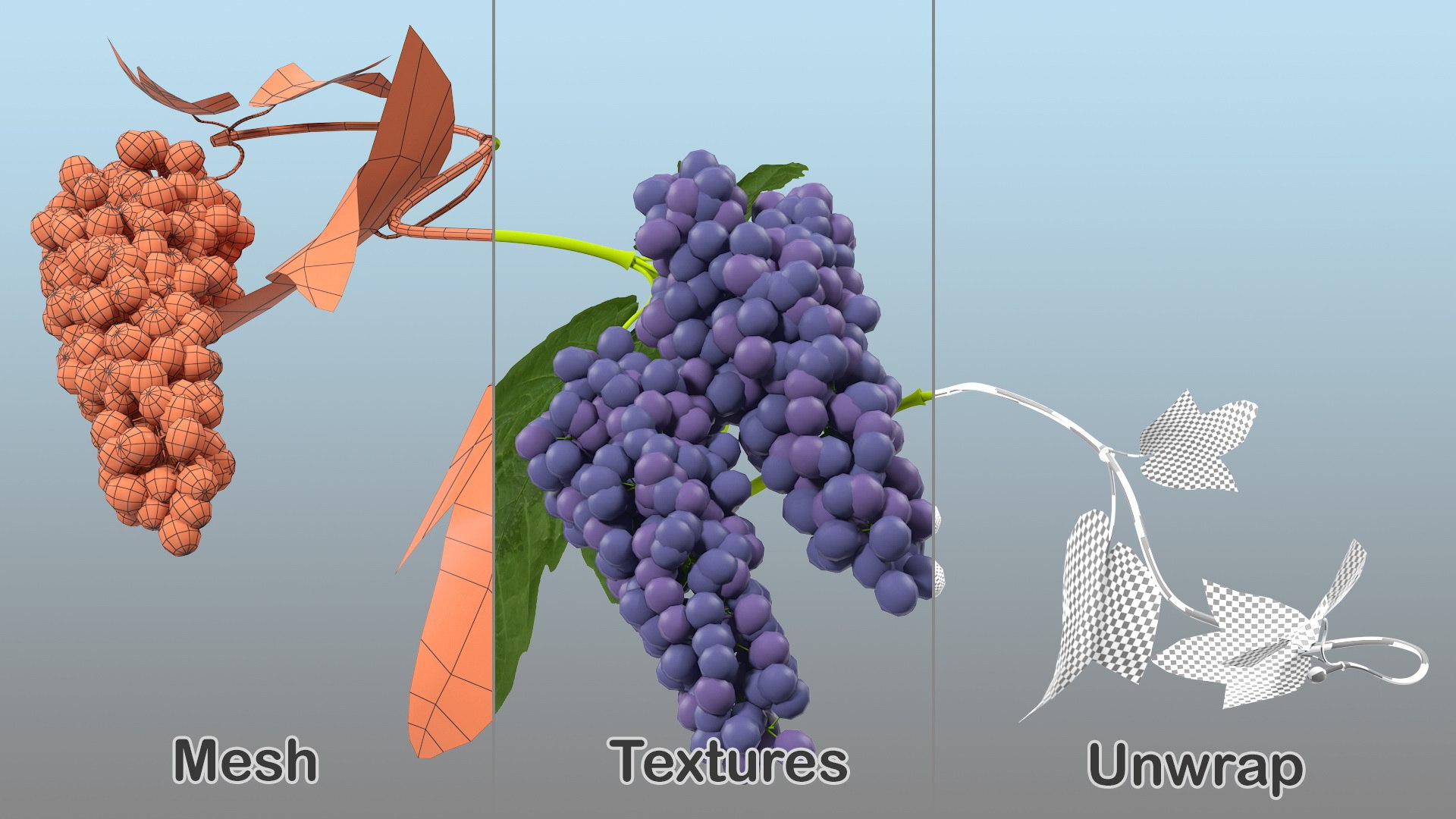 Grapes Collection 3 3D model https://p.turbosquid.com/ts-thumb/Vu/NjOfUn/QB/grapescollection3mb3dmodel040/jpg/1647461549/1920x1080/fit_q87/41e5967eb0a132fbb8b0cae570349510ebfda08f/grapescollection3mb3dmodel040.jpg