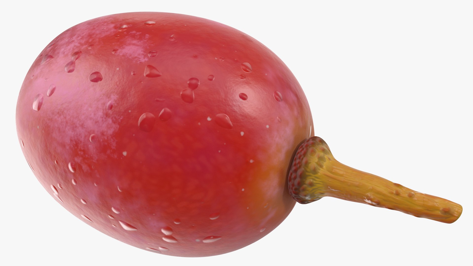 Grapes Collection 3 3D model https://p.turbosquid.com/ts-thumb/Vu/NjOfUn/QP/grapescollection3mb3dmodel028/jpg/1647461514/1920x1080/fit_q87/7b2f2578cd706a45dc985b3359e37f21ba20169e/grapescollection3mb3dmodel028.jpg