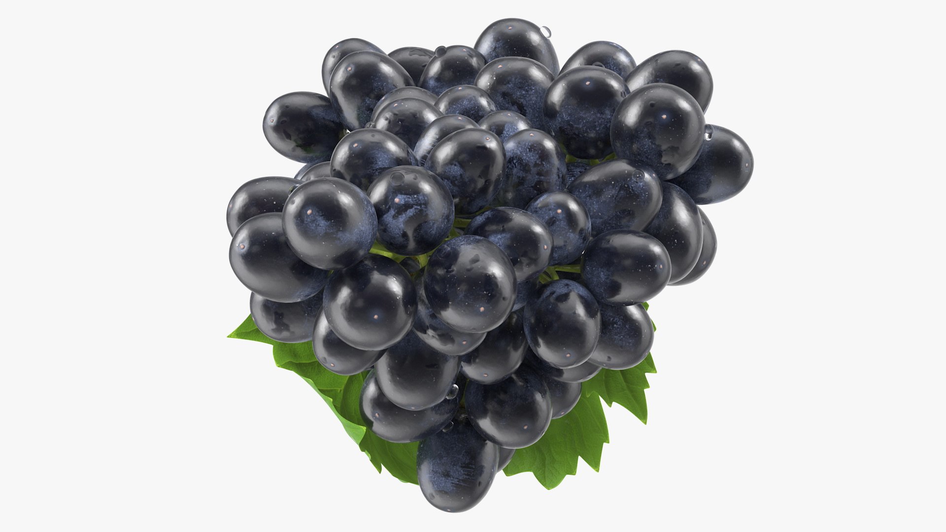 Grapes Collection 3 3D model https://p.turbosquid.com/ts-thumb/Vu/NjOfUn/U5/grapescollection3mb3dmodel037/jpg/1647461542/1920x1080/fit_q87/56f06c8bf31816d7bc6b64a2183fda49f38a0290/grapescollection3mb3dmodel037.jpg