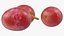 Grapes Collection 3