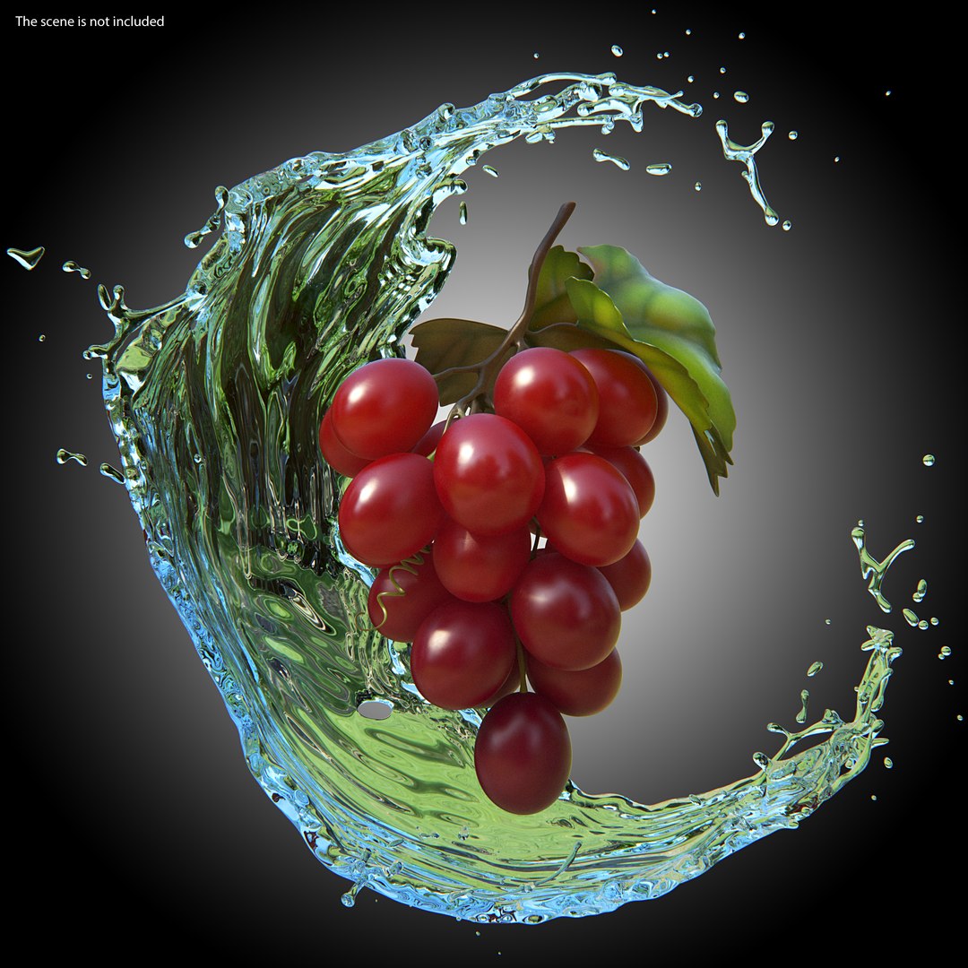 Grapes Collection 3 3D model https://p.turbosquid.com/ts-thumb/Vu/NjOfUn/Yi/grapescollection3mb3dmodel013/jpg/1647461473/1920x1080/fit_q87/fa260fa32adef8e9b4392d6e4d1c1557ced4f63b/grapescollection3mb3dmodel013.jpg