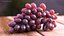 Grapes Collection 3