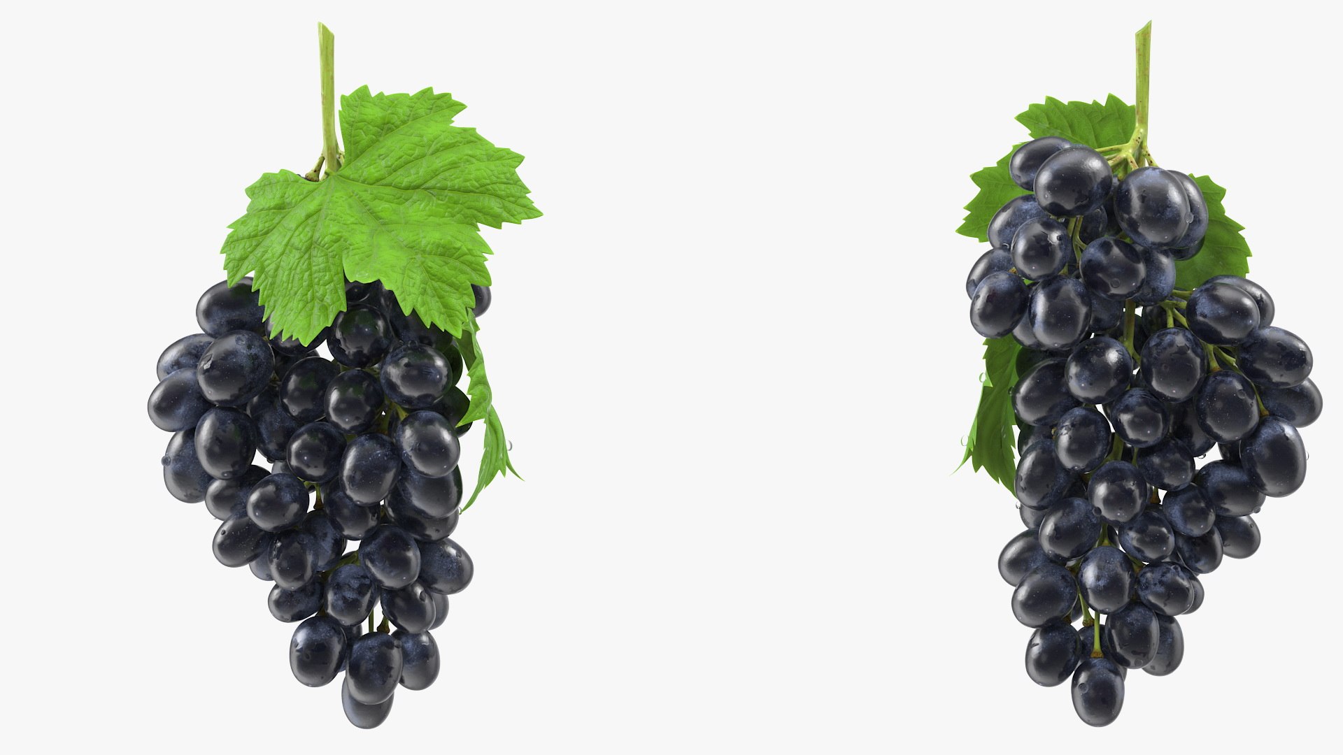 Grapes Collection 3 3D model https://p.turbosquid.com/ts-thumb/Vu/NjOfUn/eQ/grapescollection3mb3dmodel034/jpg/1647461533/1920x1080/fit_q87/405d899ef29f3af236879cdd3d9b3ce491107108/grapescollection3mb3dmodel034.jpg