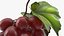 Grapes Collection 3