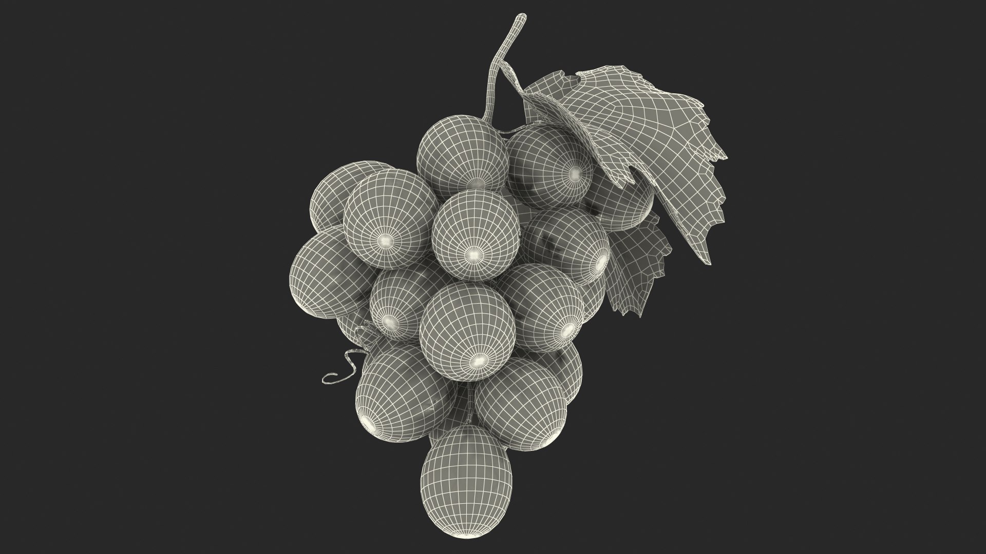 Grapes Collection 3 3D model https://p.turbosquid.com/ts-thumb/Vu/NjOfUn/jT/grapescollection3mb3dmodel047/jpg/1647461571/1920x1080/fit_q87/2e8b44cc53f3af75a4262e82242620cb18a714f1/grapescollection3mb3dmodel047.jpg
