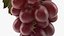Grapes Collection 3