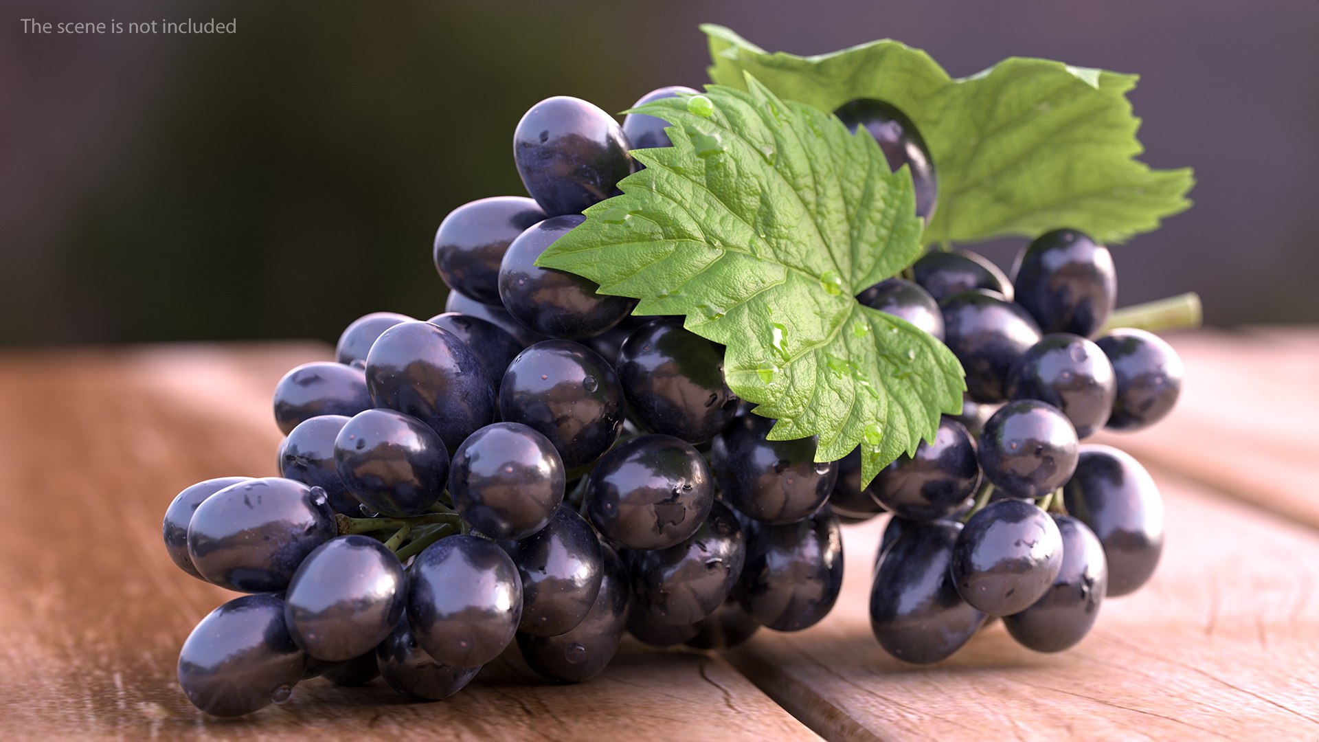 Grapes Collection 3 3D model https://p.turbosquid.com/ts-thumb/Vu/NjOfUn/pi/grapescollection3mb3dmodel031/jpg/1647461523/1920x1080/fit_q87/ab4340004456d7bfcaa453eee4baac399fb456cf/grapescollection3mb3dmodel031.jpg
