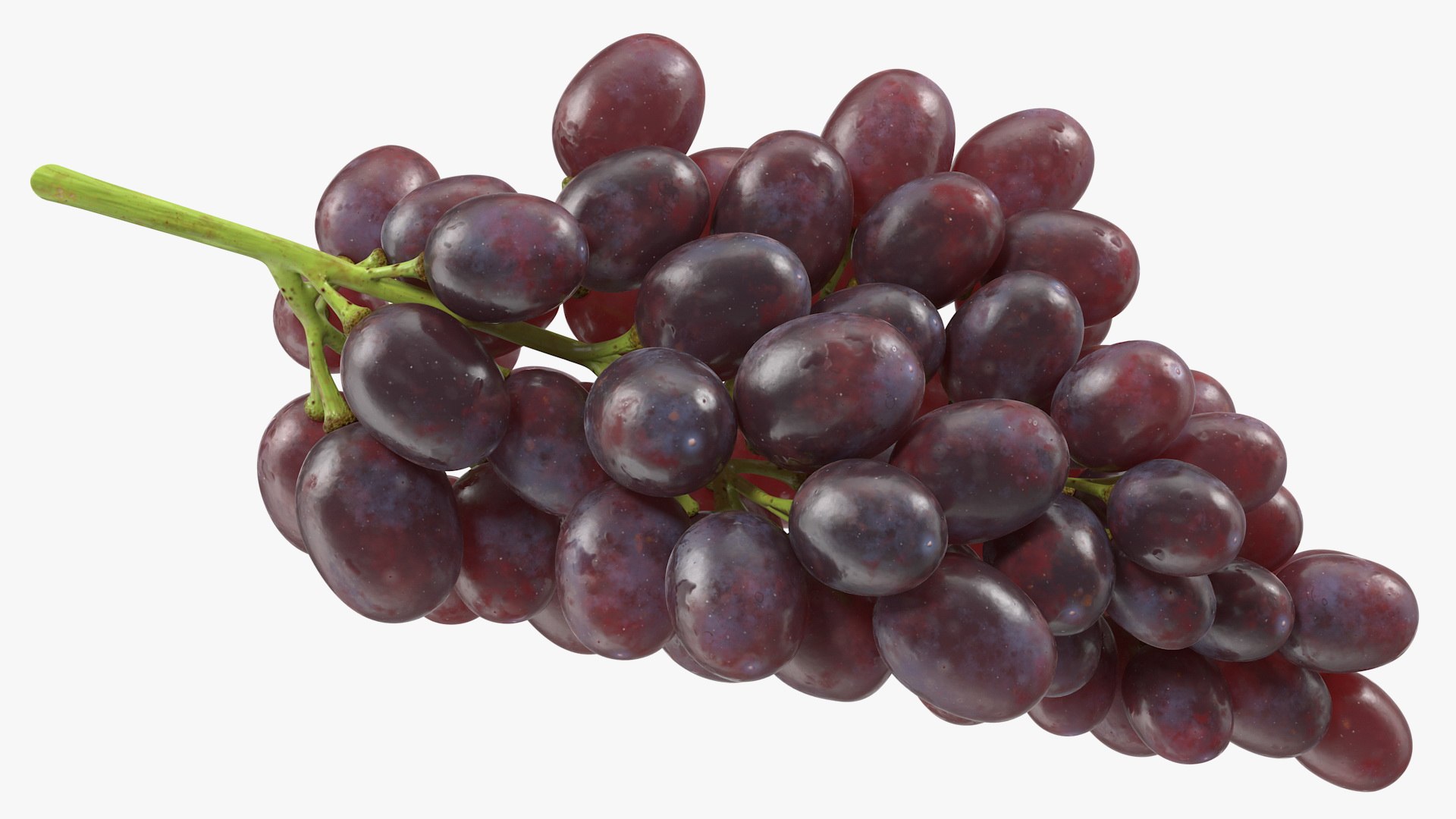 Grapes Collection 3 3D model https://p.turbosquid.com/ts-thumb/Vu/NjOfUn/sZ/grapescollection3mb3dmodel008/jpg/1647461456/1920x1080/fit_q87/c6d5d225c18e2b0e8e3824c19203dbda2fc6c063/grapescollection3mb3dmodel008.jpg