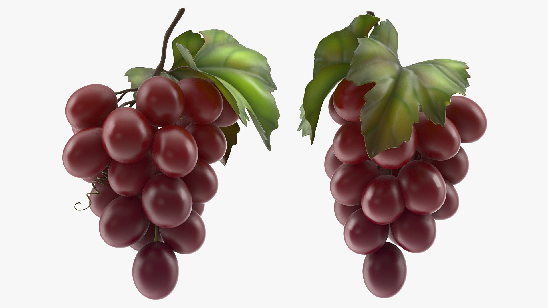Grapes Collection 3 3D model https://p.turbosquid.com/ts-thumb/Vu/NjOfUn/zs/grapescollection3mb3dmodel012/jpg/1647461469/1920x1080/fit_q87/3044e651215edf7b5ce6d7c99d11b2ac155fed2e/grapescollection3mb3dmodel012.jpg