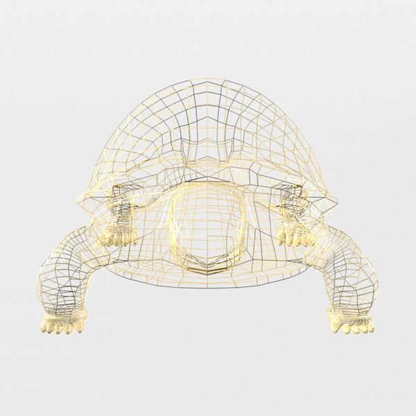 modelo 3d Tortuga Sulcata - TurboSquid 1364372