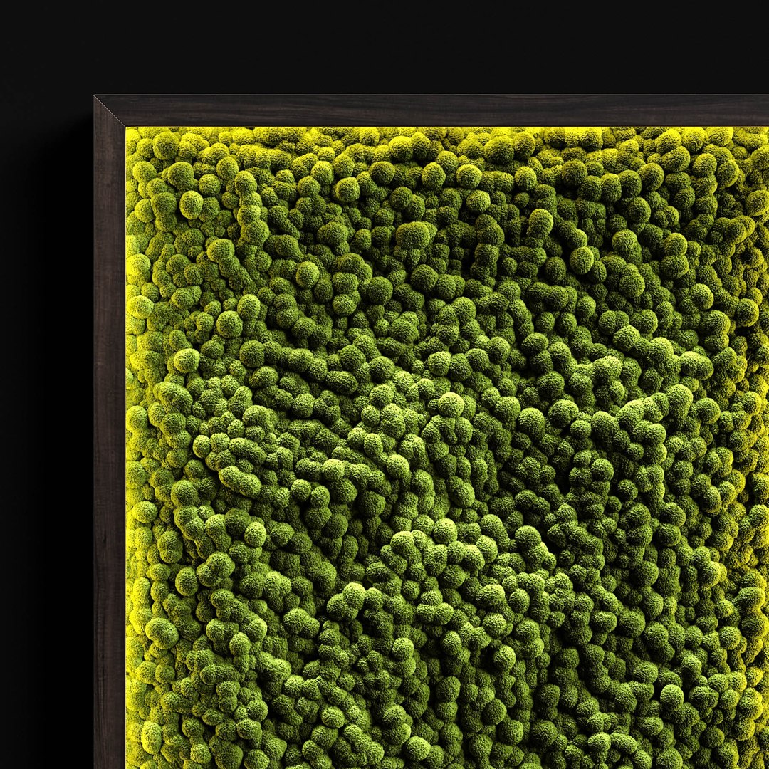 3D moss fern loft model https://p.turbosquid.com/ts-thumb/Vu/hlkOn9/0V8f3RtH/4/jpg/1580986667/1920x1080/fit_q87/610c50f490e1be4b50d2333ca2b247a2686197c3/4.jpg