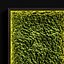 Vertical gardens