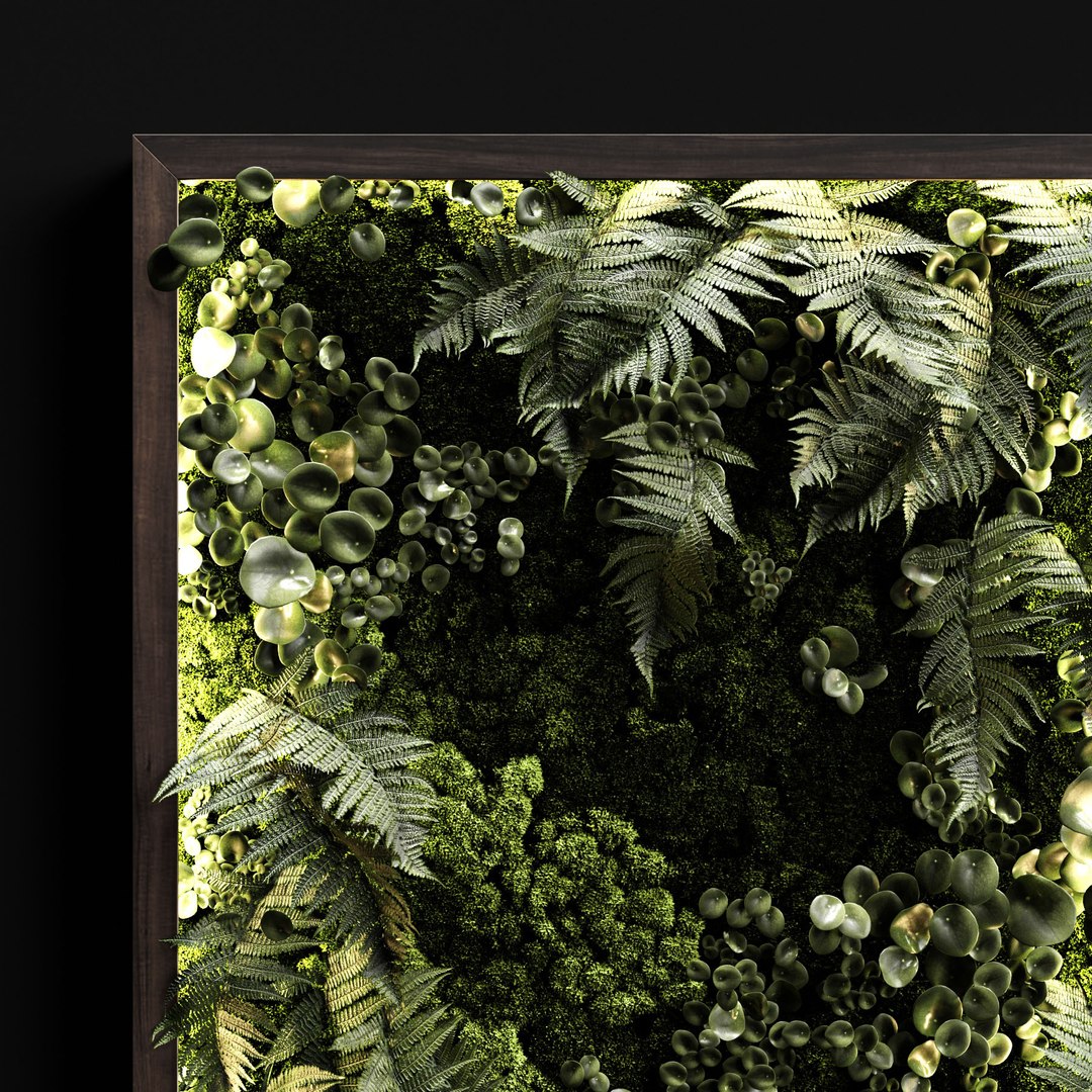 3D moss fern loft model https://p.turbosquid.com/ts-thumb/Vu/hlkOn9/H3n2PGwv/3/jpg/1580986667/1920x1080/fit_q87/4db6a6a07348614943c7c84436bca9f875e60318/3.jpg
