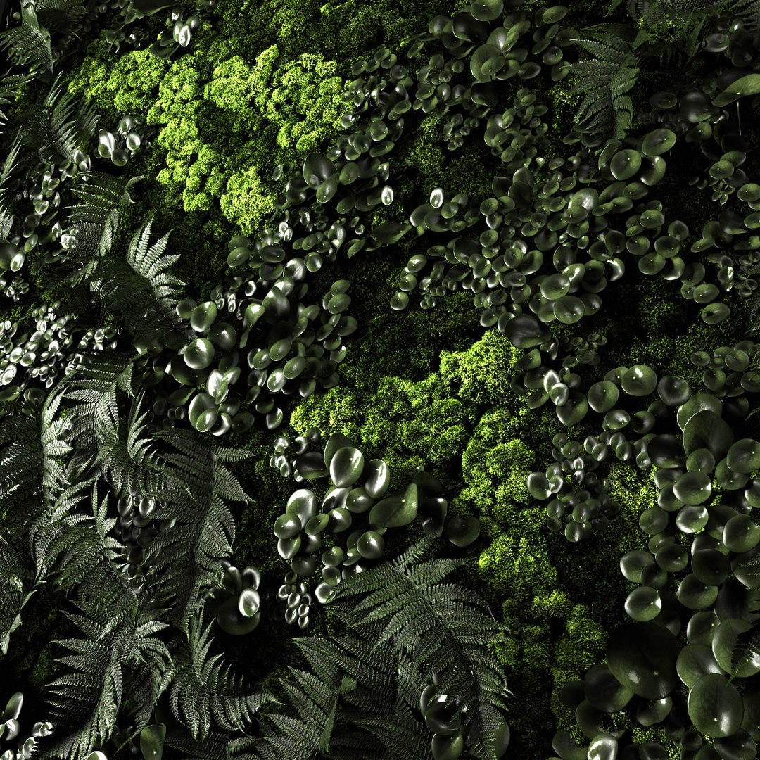 3D moss fern loft model https://p.turbosquid.com/ts-thumb/Vu/hlkOn9/V9aQ9glN/6/jpg/1580986668/1920x1080/fit_q87/383d2d40f49257e886c338030e8b05565e618524/6.jpg