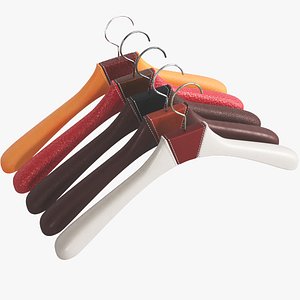 3D hanger model