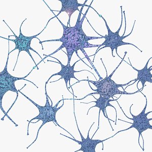 Neuron Neural Networks 3D