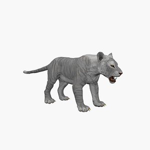 3D model Tiger