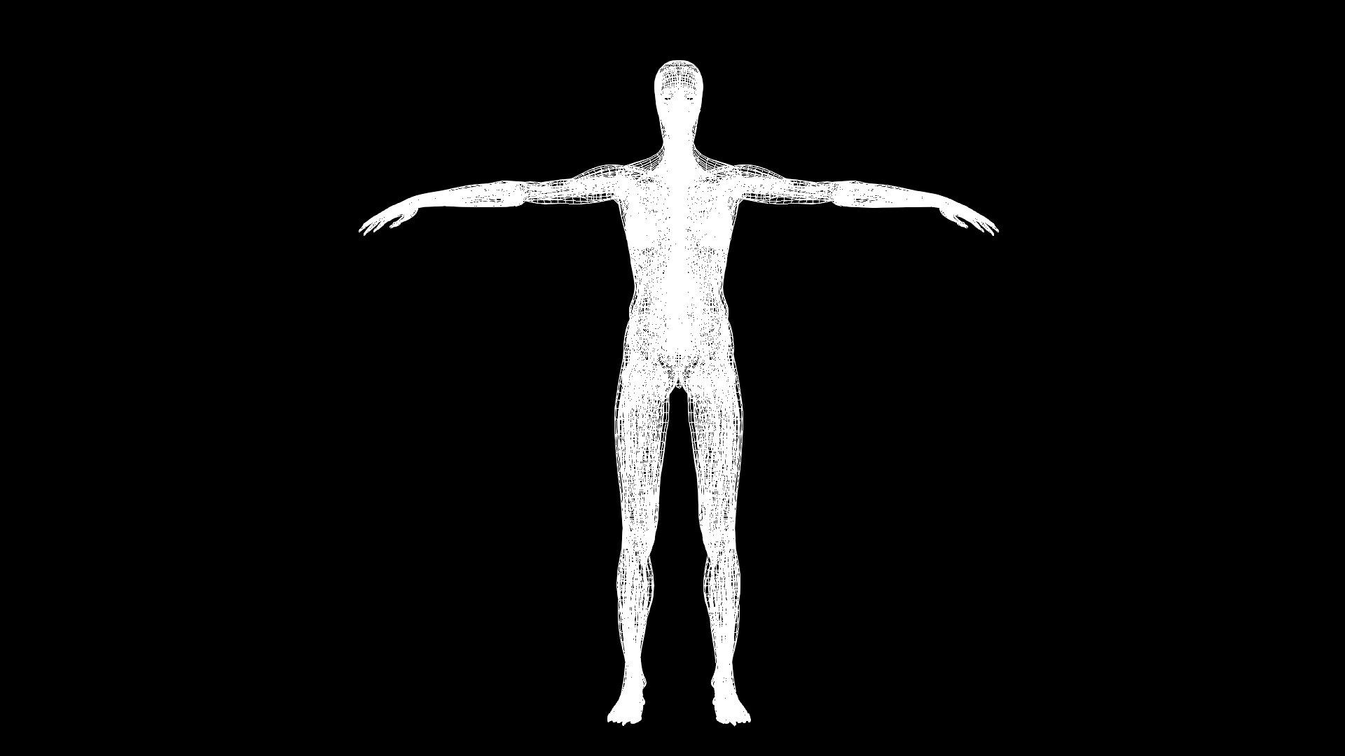 3D Female Muscle  with skeletal system https://p.turbosquid.com/ts-thumb/Vu/qWeROa/qC/wire/jpg/1686658782/1920x1080/fit_q87/f34f20d2e6dd3b905393e48ec89bd091e3a3d24c/wire.jpg