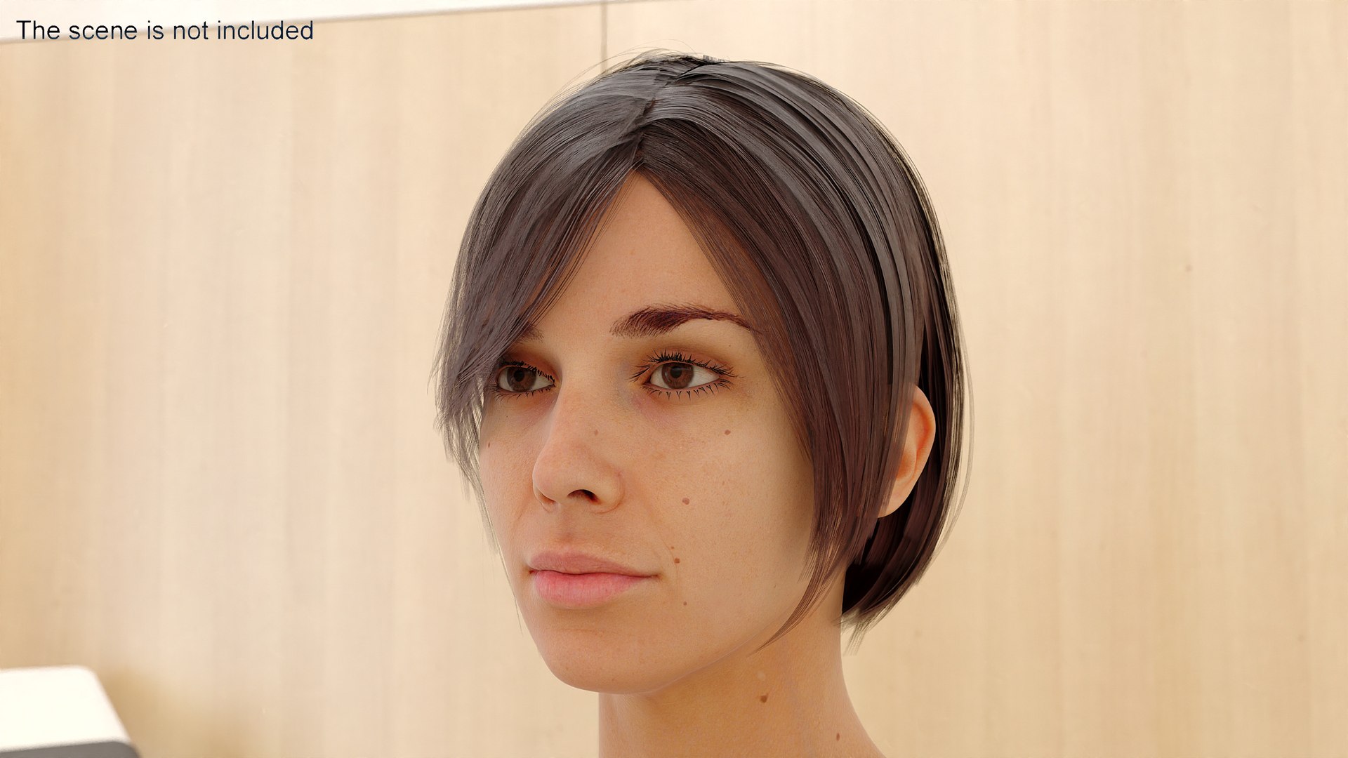 Female Head Realistic Anatomy 3D model - TurboSquid 2163738