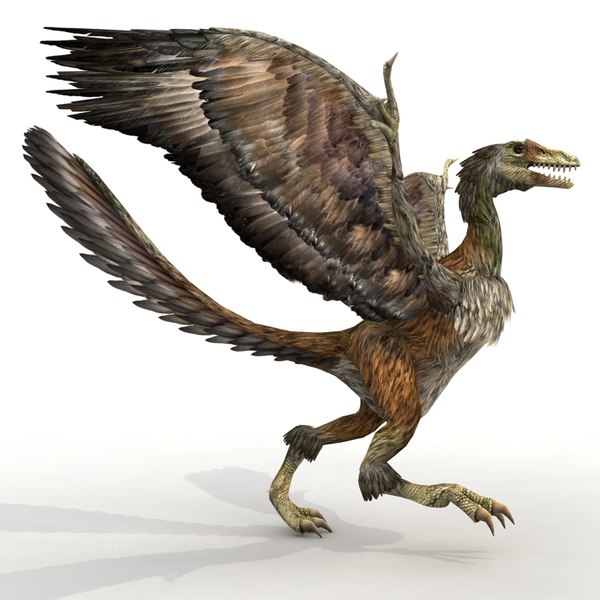 始祖鳥3Dモデル - TurboSquid 765516