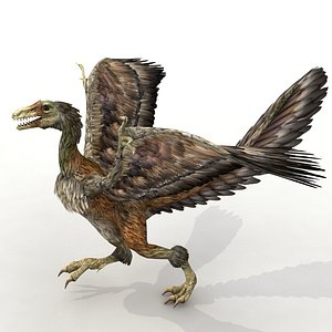 Archaeopteryx