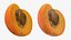 Apricot Collection