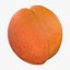 Apricot Collection