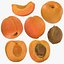 Apricot Collection