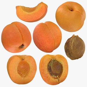 Apricot Collection