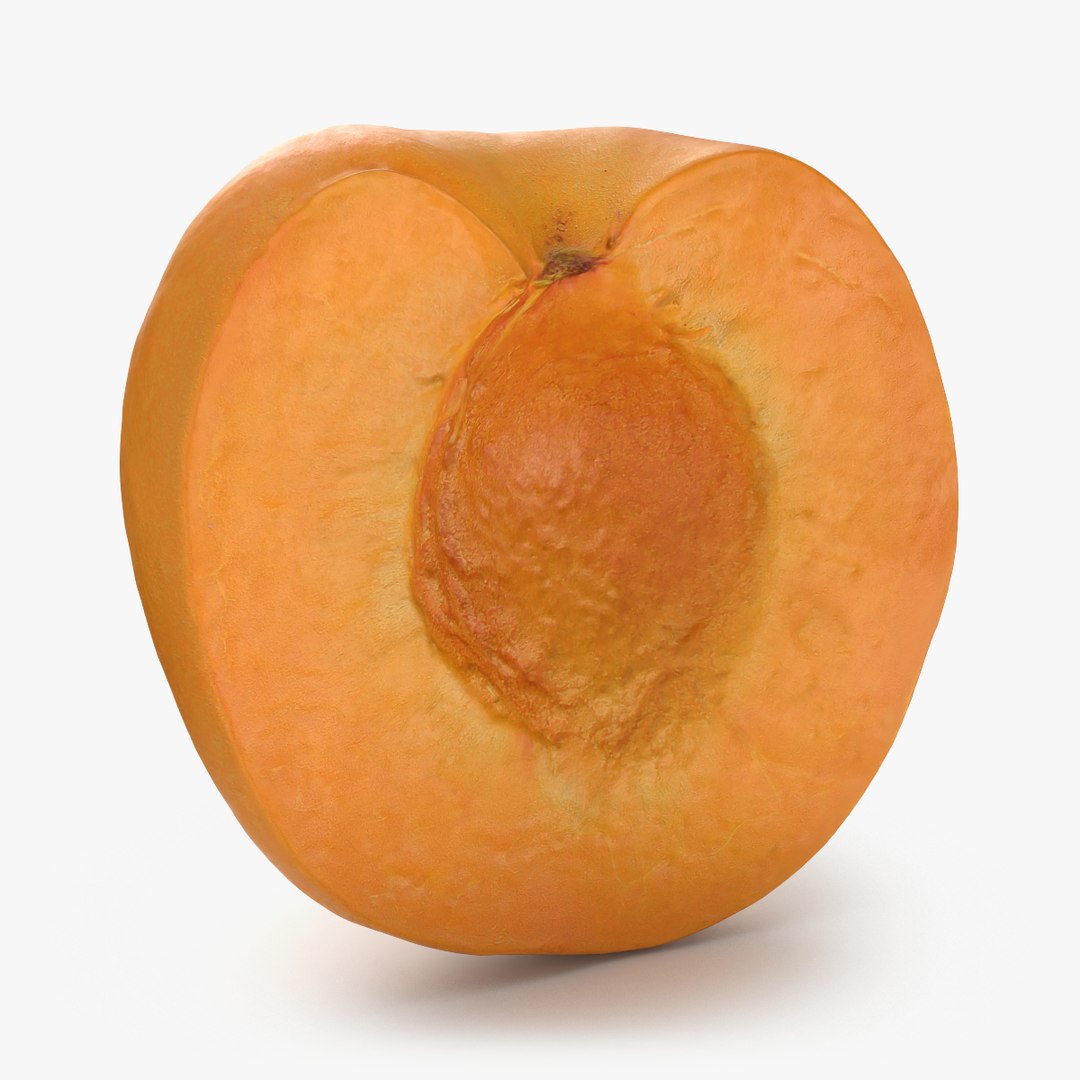 Apricot Collection 3D model https://p.turbosquid.com/ts-thumb/Vv/2wI6yl/Mf/apricotcut01_000/png/1784835218/1920x1080/fit_q87/0f3913ba8eadefdf4c168a8f90ec8fd1e67112aa/apricotcut01_000.jpg
