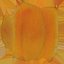 Apricot Collection