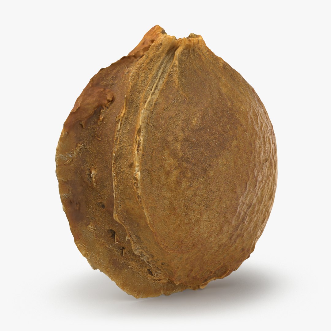 Apricot Collection 3D model https://p.turbosquid.com/ts-thumb/Vv/2wI6yl/iE/apricotseed_000/png/1784835402/1920x1080/fit_q87/1d026bf69dba99204d9cb2ff62f3f51e2061d2e6/apricotseed_000.jpg