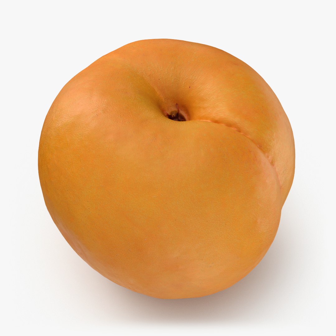 Apricot Collection 3D model https://p.turbosquid.com/ts-thumb/Vv/2wI6yl/jR/apricot01_000/png/1784834956/1920x1080/fit_q87/36b6d0165c7a2870c47b645ed47cbc34c3f9927a/apricot01_000.jpg