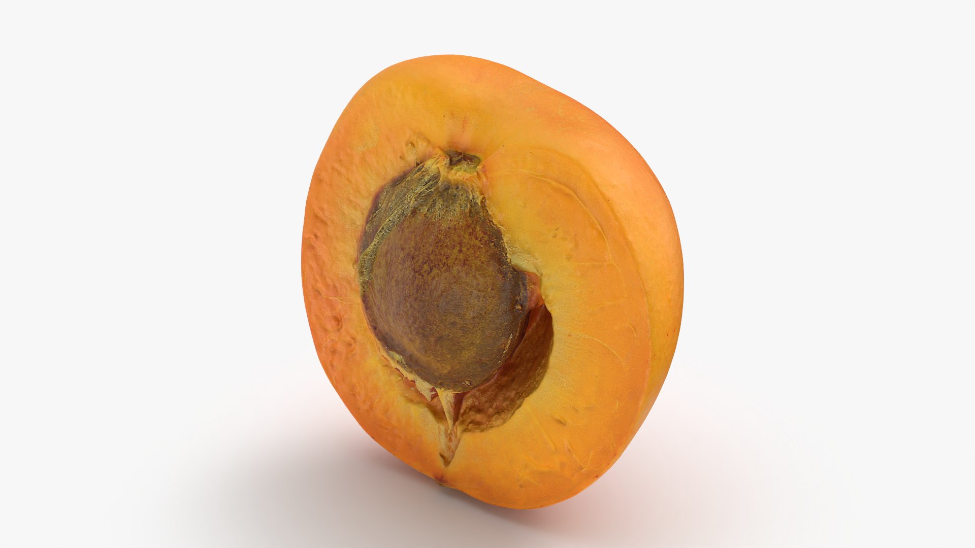 Apricot Collection 3D model https://p.turbosquid.com/ts-thumb/Vv/2wI6yl/rF/apricotcut02_0002/png/1784834826/1920x1080/fit_q87/ee23fc272bdd2cb835d90848e8753facc3018033/apricotcut02_0002.jpg