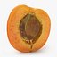 Apricot Collection