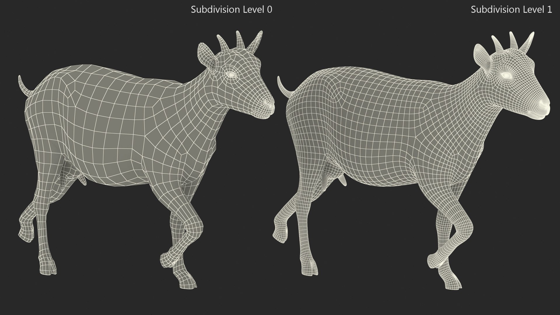 3D White Goat Walking - TurboSquid 1994236