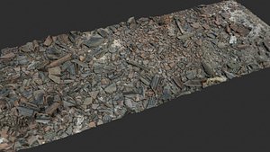 Floor Of Debris 1