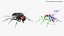 Fruit Fly Black Fur Rigged 3D model