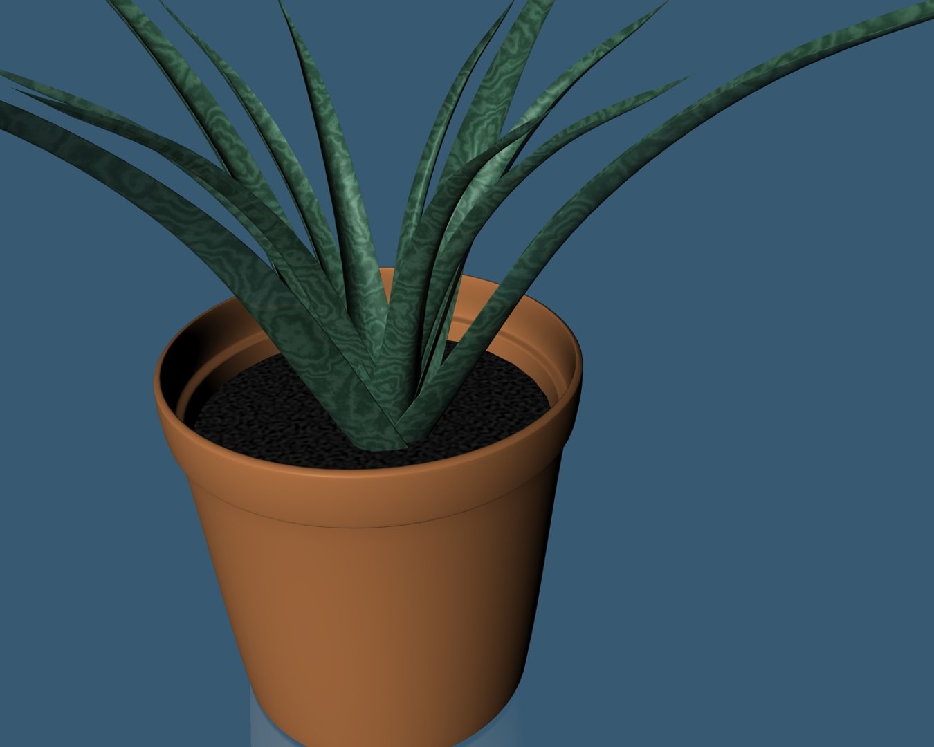 c4d plant pot https://p.turbosquid.com/ts-thumb/Vv/DX1Kuy/T9GBpSuY/plant4/jpg/1412684178/1920x1080/fit_q87/5ed7bb84fa028d385e97b0db7f14735af21d307c/plant4.jpg